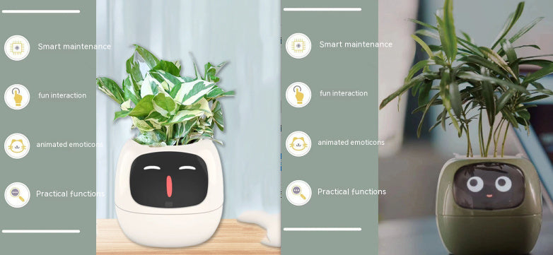 smart planter WITH smart sensors