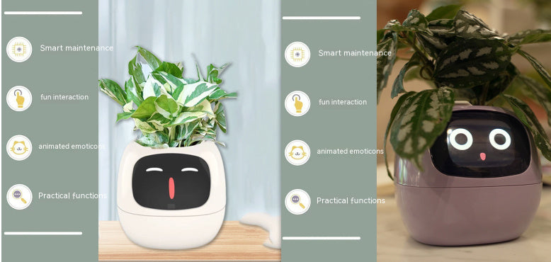 smart planter WITH smart sensors