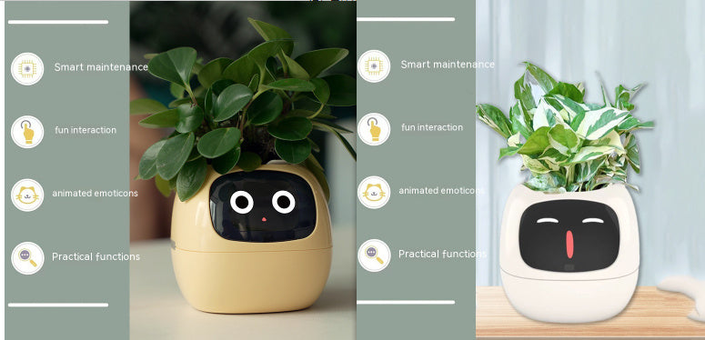 smart planter WITH smart sensors