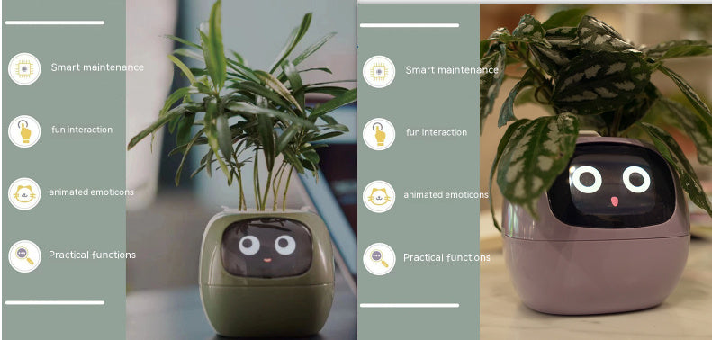 smart planter WITH smart sensors