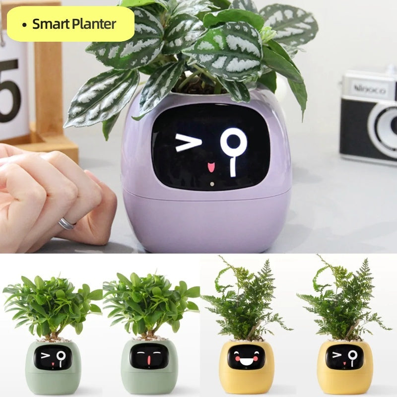 smart planter WITH smart sensors