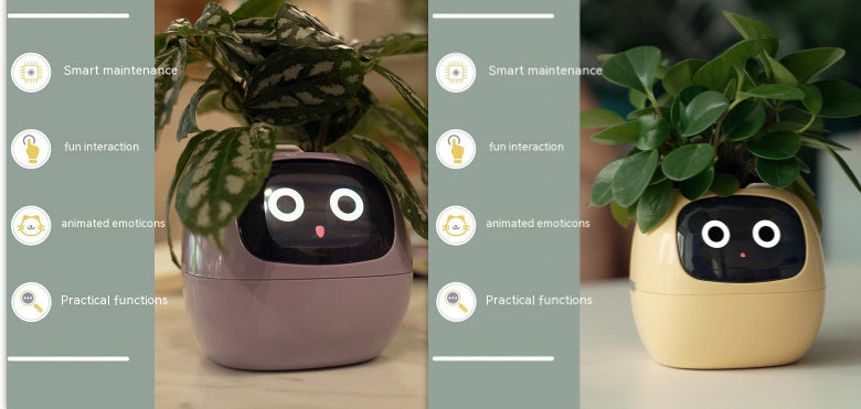 smart planter WITH smart sensors