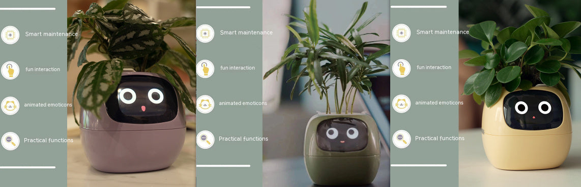 smart planter WITH smart sensors